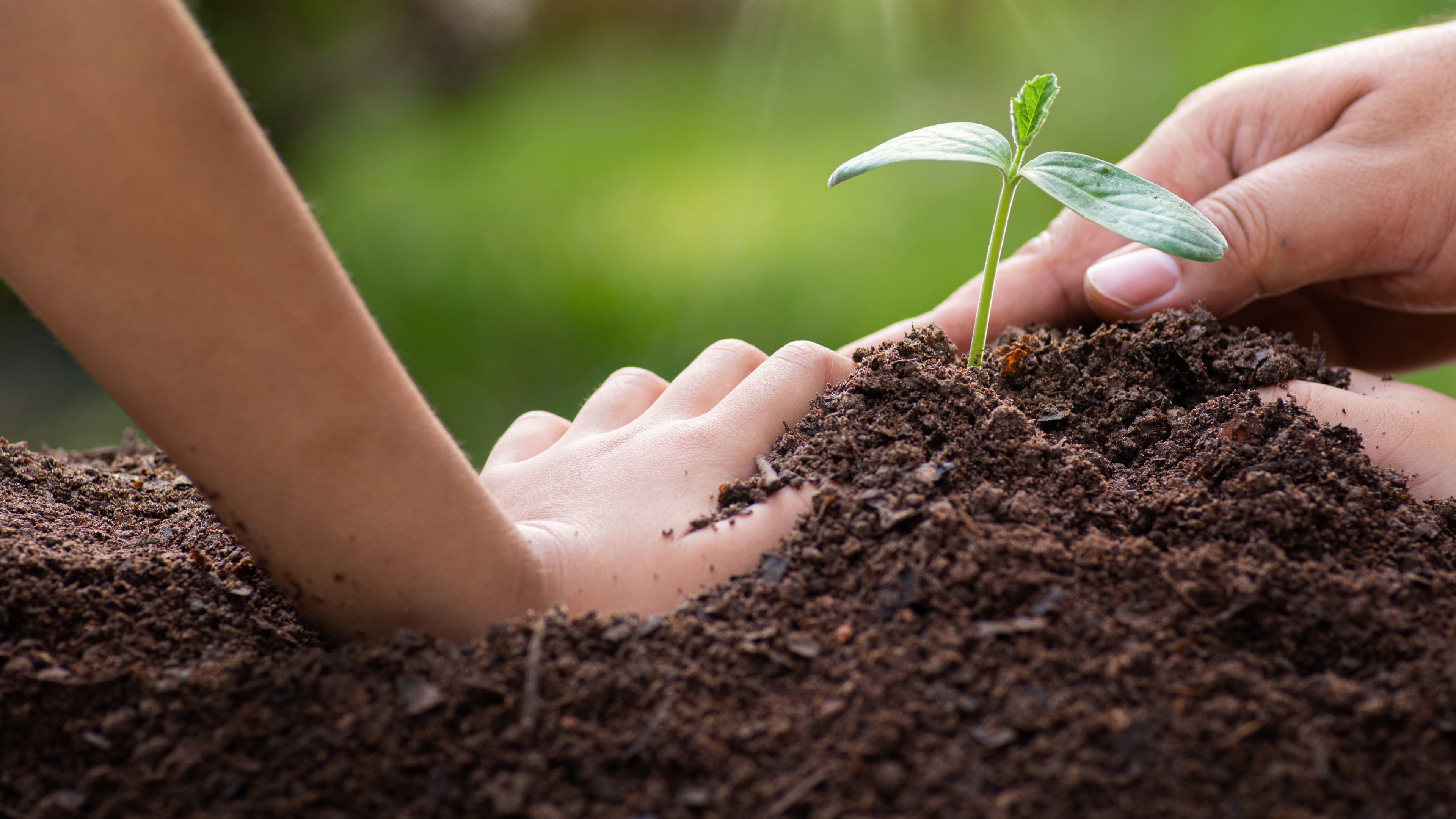 On Good Soil