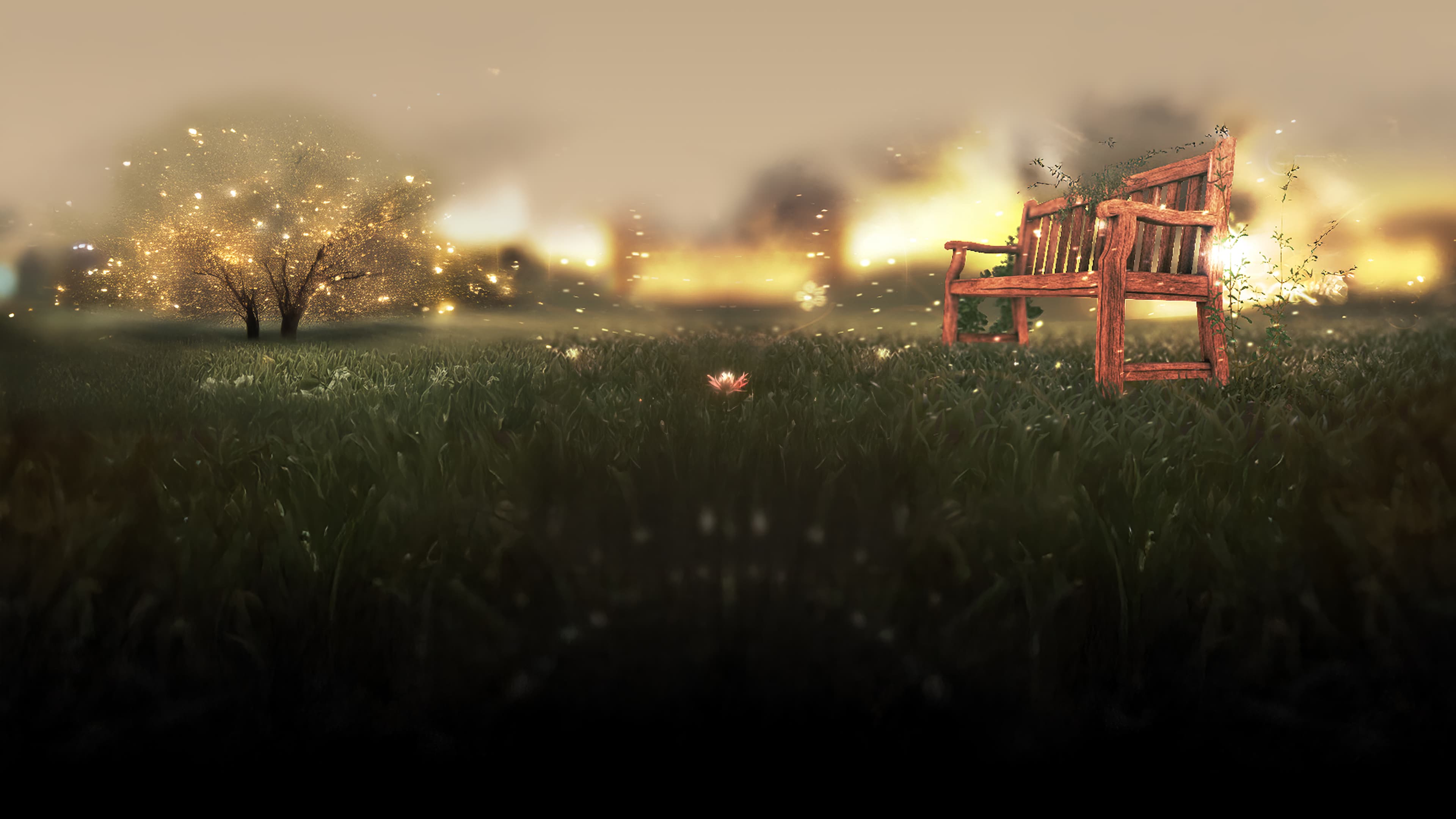The Philosophers' Bench